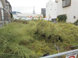 広島市　空き地管理　除草　草刈り