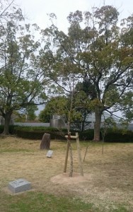 記念植樹祭　広島中央ローターアクトクラブ　エゴノキ　旧市民球場跡地