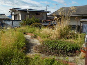 広島市西区　Ｏ様邸　除草　除草剤散布　竹の伐採　作業前
